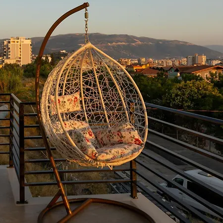 Zani's Vlore